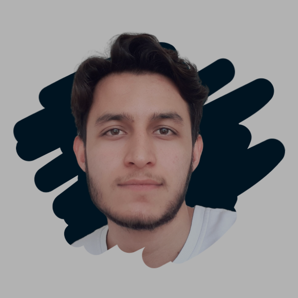 hasan image